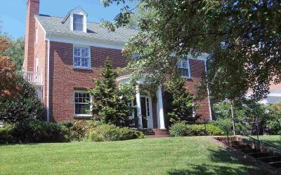 6 Best Grass Types for Northern Virginia