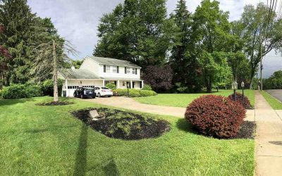 10 Spring Lawn Care Tips for Tallahassee, FL