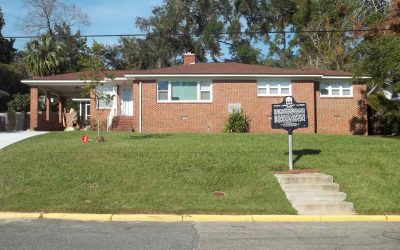 5 Best Grass Types for Tallahassee, FL