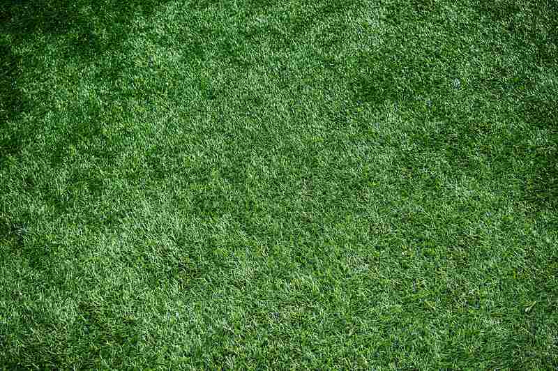 A close up of artificial grass