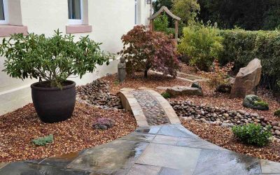 8 Fire-Resistant Landscaping Ideas for Sacramento, CA
