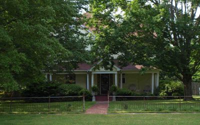 6 Best Grass Types for Alabama
