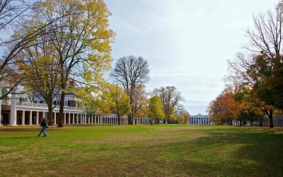 6 Best Grass Types for Central Virginia