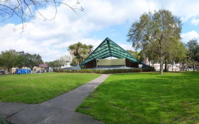 7 Best Grass Types for St. Petersburg, FL