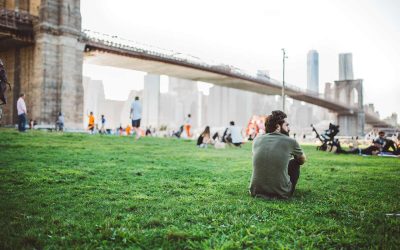 11 Spring Lawn Care Tips for New York