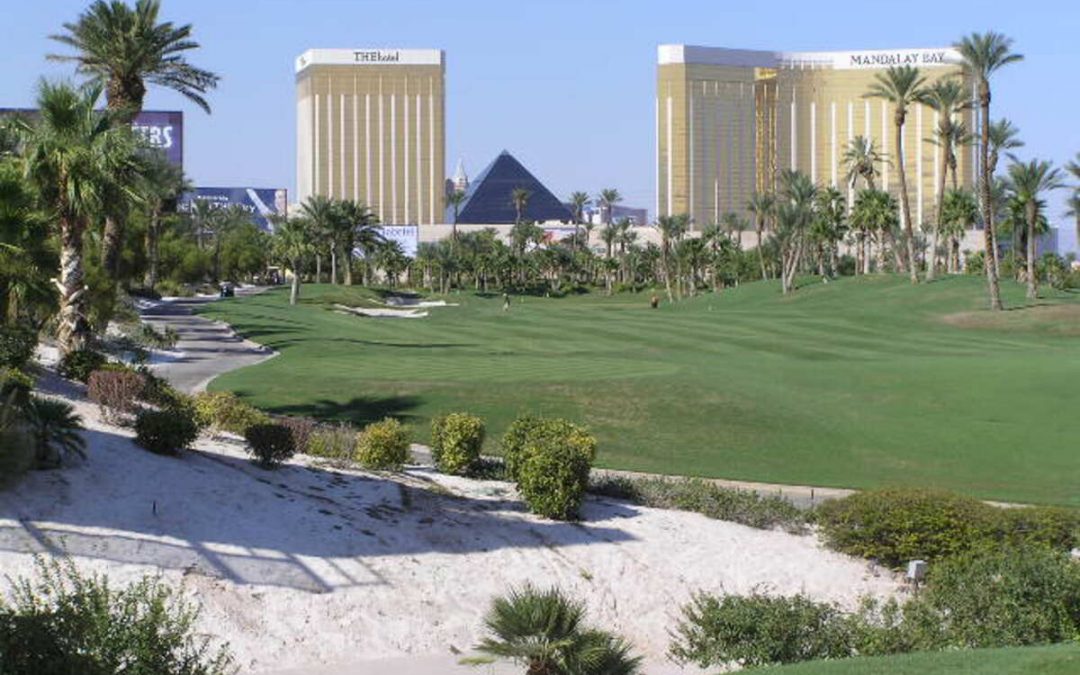 6 Best Grass Types for Las Vegas