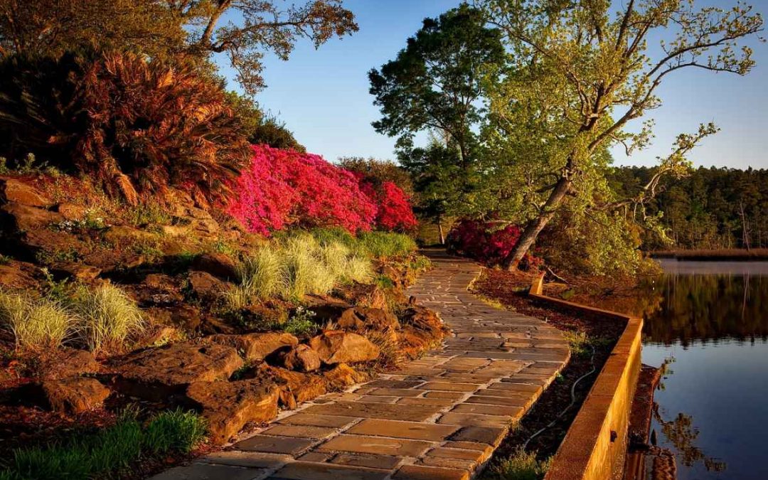 8 Low-Maintenance Landscaping Ideas for Alabama