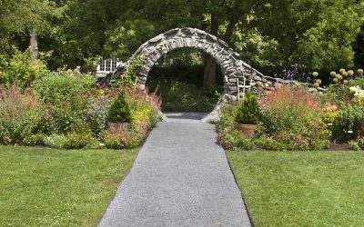 8 Best Native Plants for Rhode Island