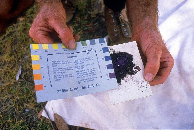 A person using a paper for soil testing