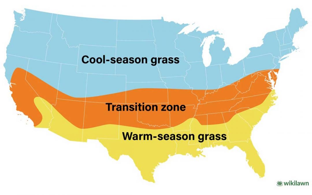 Guide to Warm-Season Grasses
