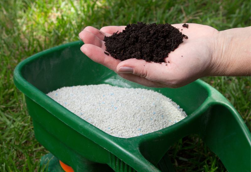 Man holding soil in hand and bucket of fertilizer