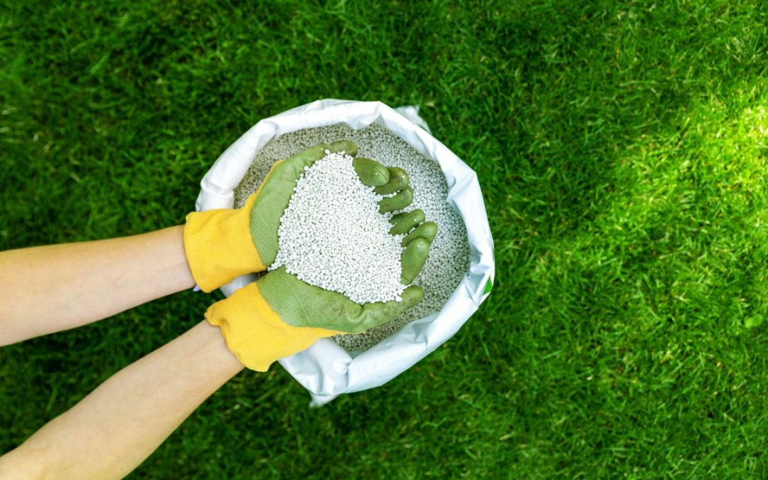 What to Know About Fertilizing Your Lawn in Ohio