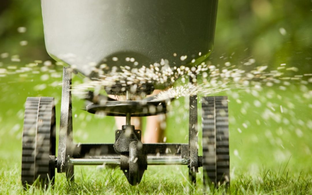 How (And When) to Fertilize Your Lawn in Indiana