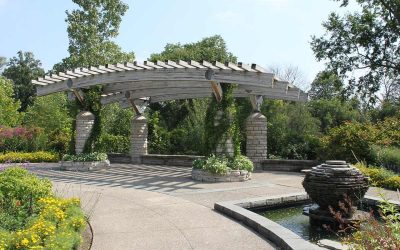 7 Low-Maintenance Landscaping Ideas for Michigan