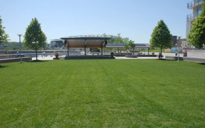 How to Care for Your Lawn in the Spring in Ohio