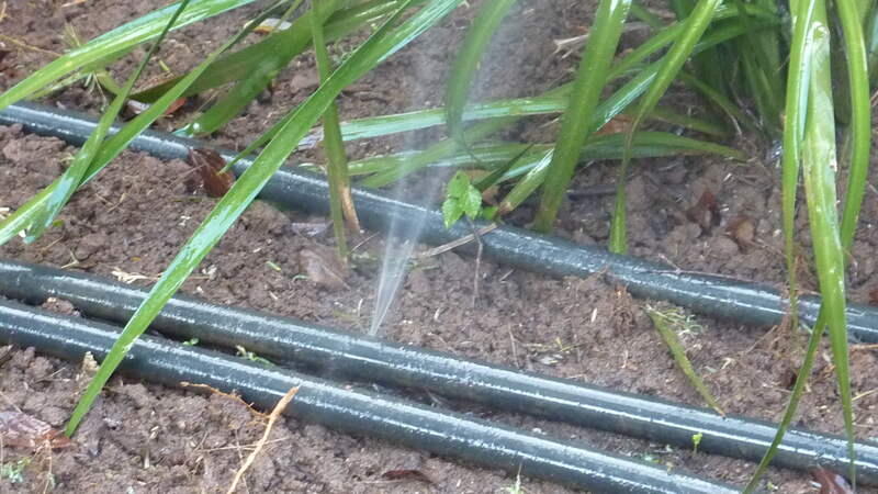 leaks in a drip irrigation system
