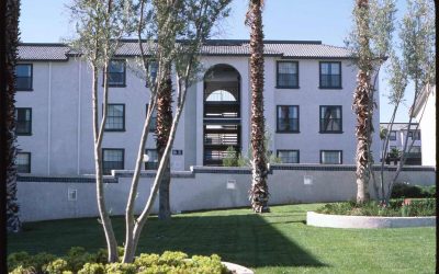 10 Drought-Resistant Landscaping Ideas for Nevada
