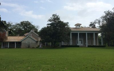 The Best Grasses for West Texas Lawns
