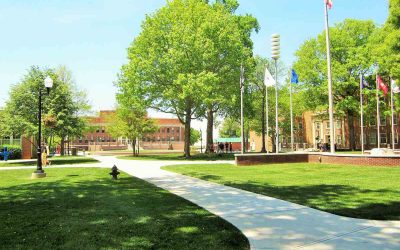 The Best Grass Seed for Your Eastern Tennessee Lawn