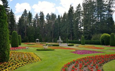 4 Best Grass Seeds for Spokane, WA