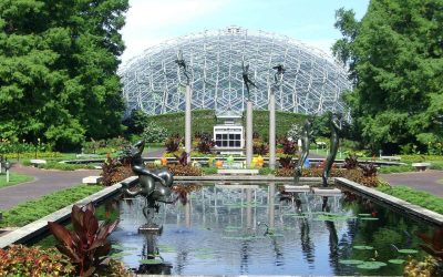Best Landscaping Plants for Your Missouri Yard