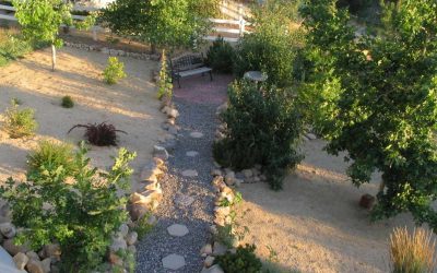 19 Best Desert Landscaping Plants for Nevada