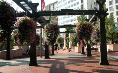 9 Best Native Plants for Portland, Oregon