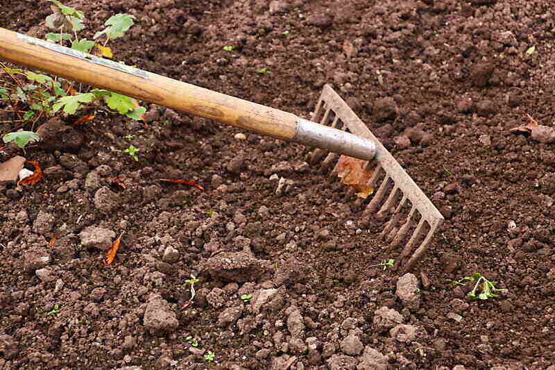 Raking tool on lawn soil