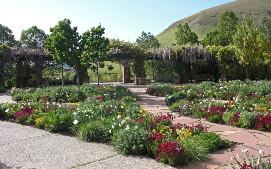 9 Best Drought-Tolerant Plants for Utah Landscapes