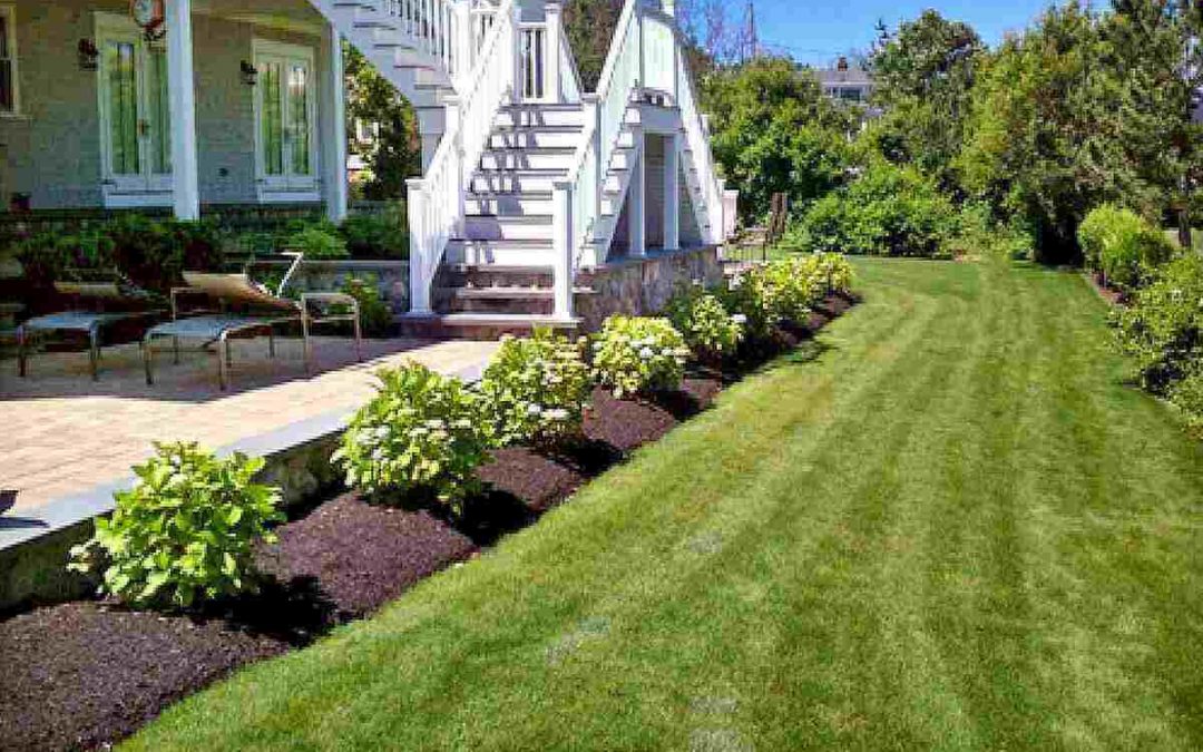 10 Spring Lawn Care Tips for New Hampshire