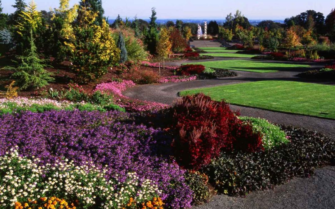 11 Best Native Plants for the Pacific Northwest