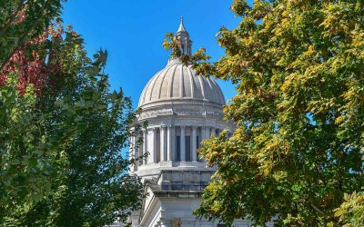 8 Trees Native to Washington State