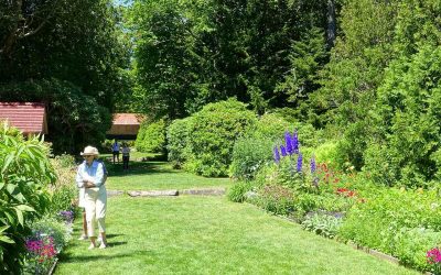 4 Best Grass Seeds for Maine