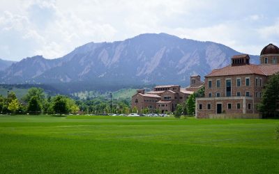 5 Best Grass Seeds for Colorado