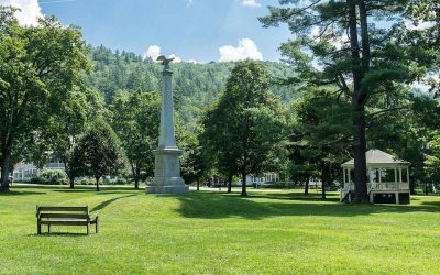3 Best Grass Seeds for Vermont 