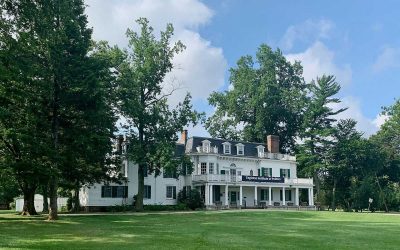 Best Grass Seed for a Beautiful New Jersey Lawn