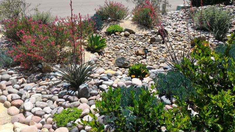 Xeriscaped Front Yard with Dry Creek Bed and Solar Lighting