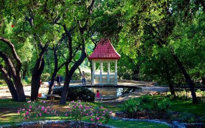 Best Low-Maintenance Landscaping for Your Texas Yard