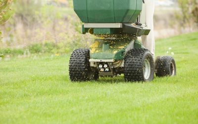 When to Fertilize Your Lawn in Delaware