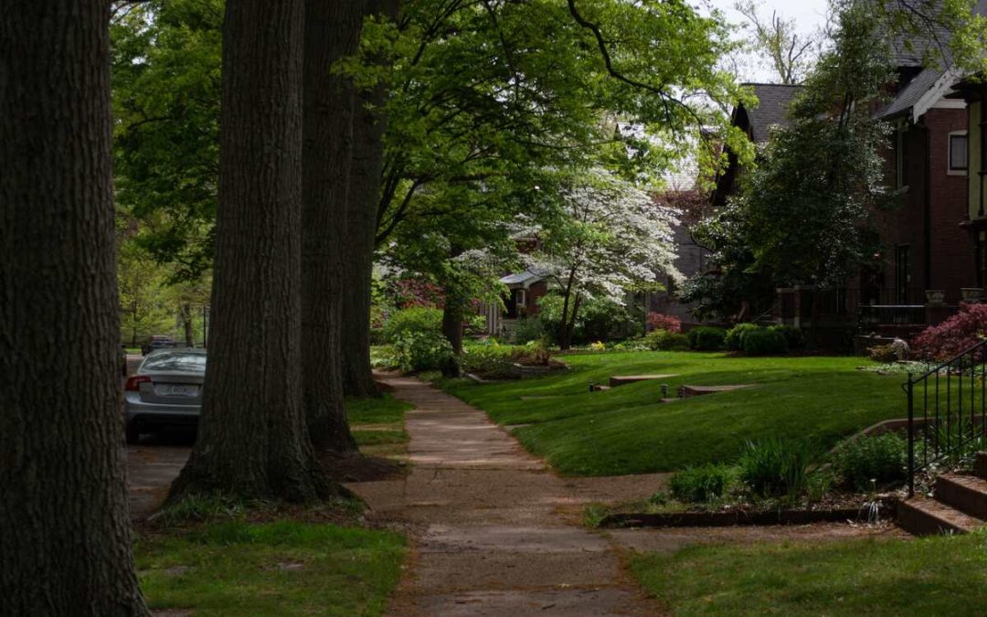6 Spring Lawn Care Tips For St. Louis