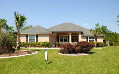 9 Florida-Friendly Landscaping Ideas