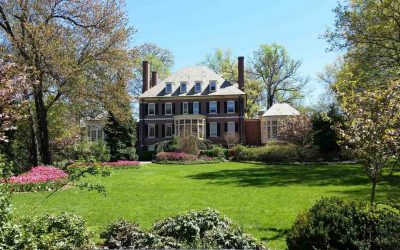 Spring Lawn Care Tips for Baltimore, Md