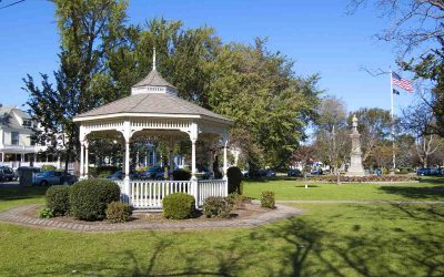 5 Best Grass Types for Connecticut