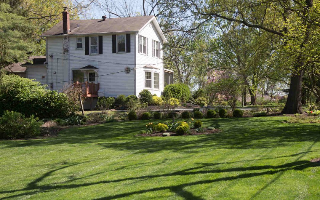 Low-Maintenance Landscaping for Missouri