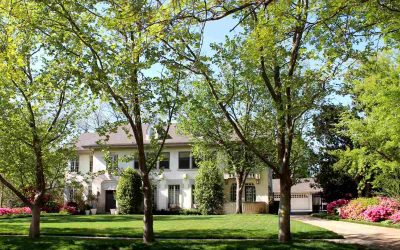 7 Best Grass Types for Oklahoma