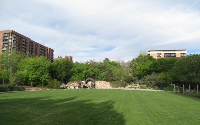 The Best Grass Seed for Salt Lake City