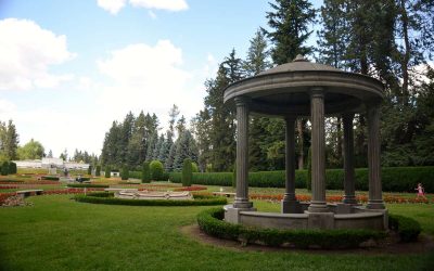 Best Grass Seed for Eastern Washington