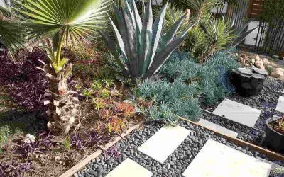 6 Fire-Resistant Landscaping Ideas for Montana