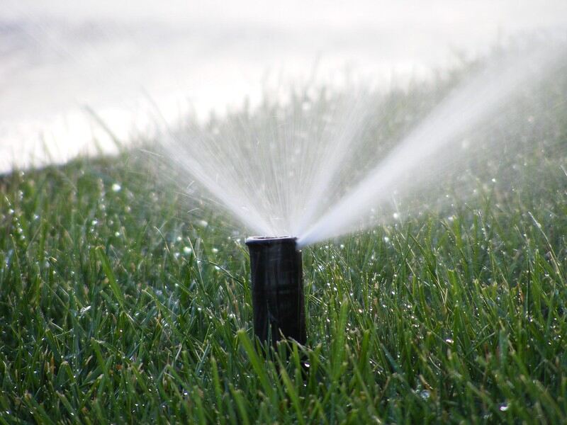 close-up of a sprinkler head watering a yard