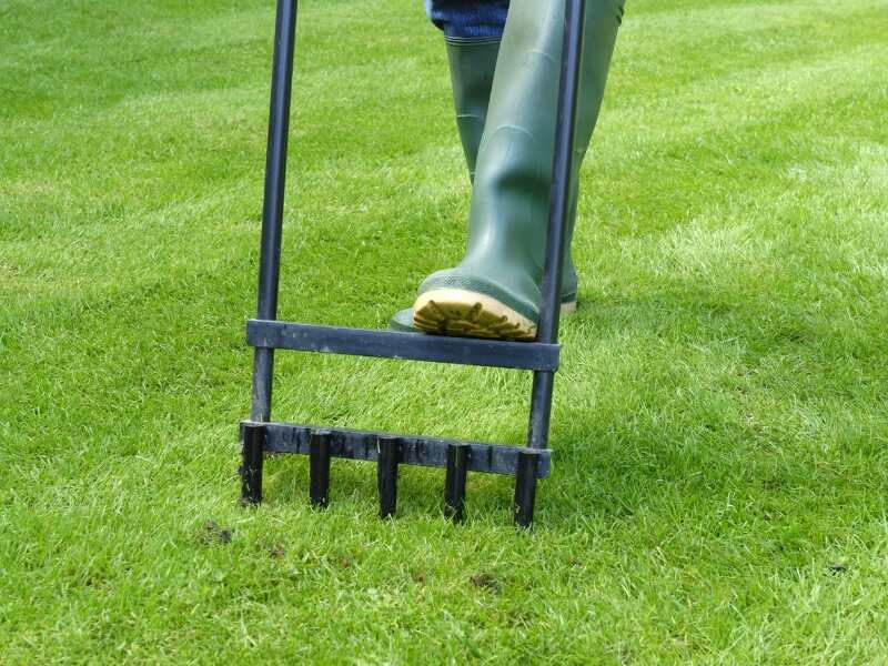 Person aerating lawn with a manual spike aerator